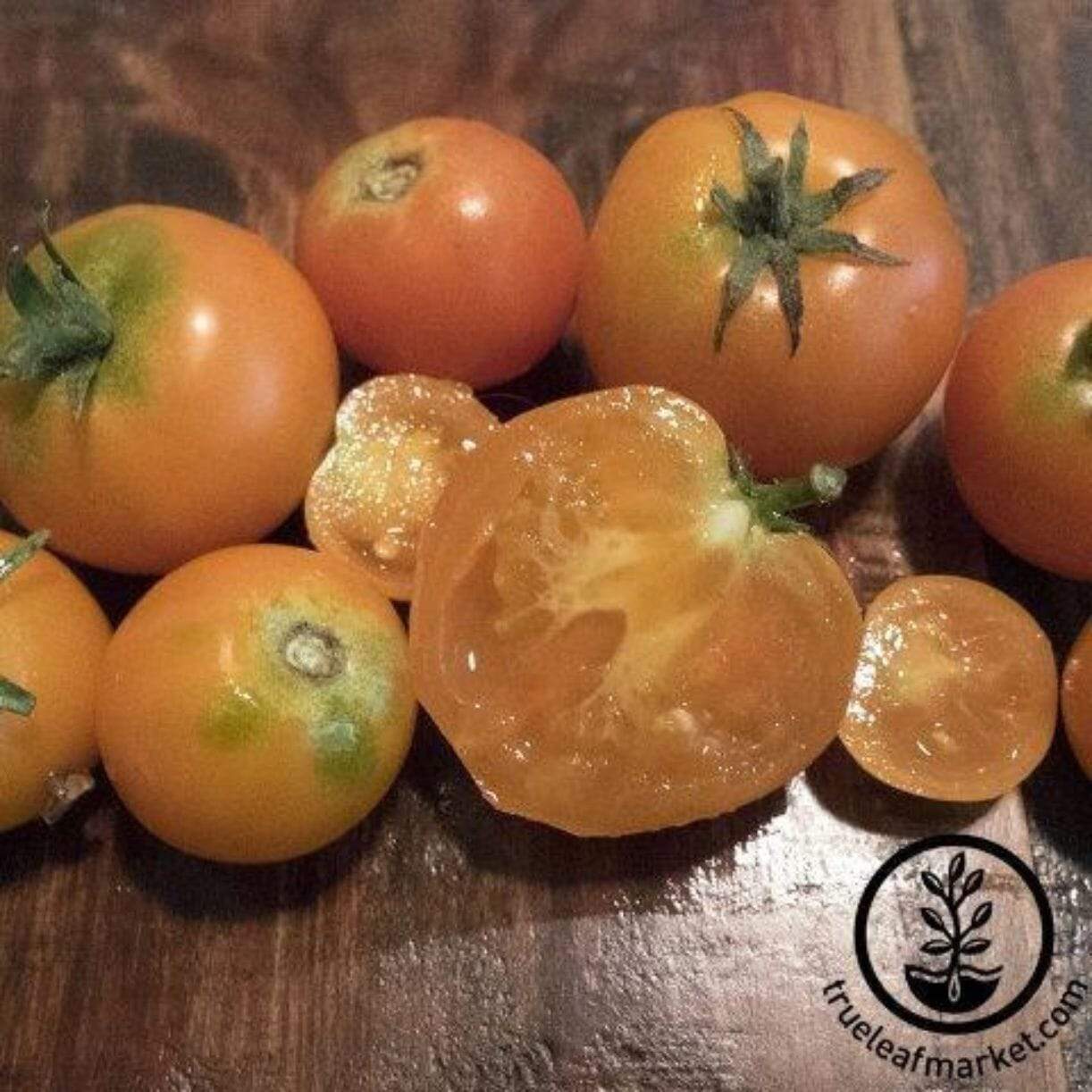 Containers Choice Orange Tomato