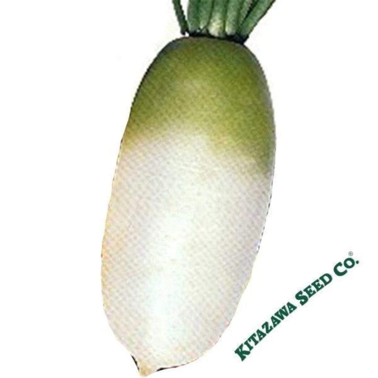 Big Time Radish