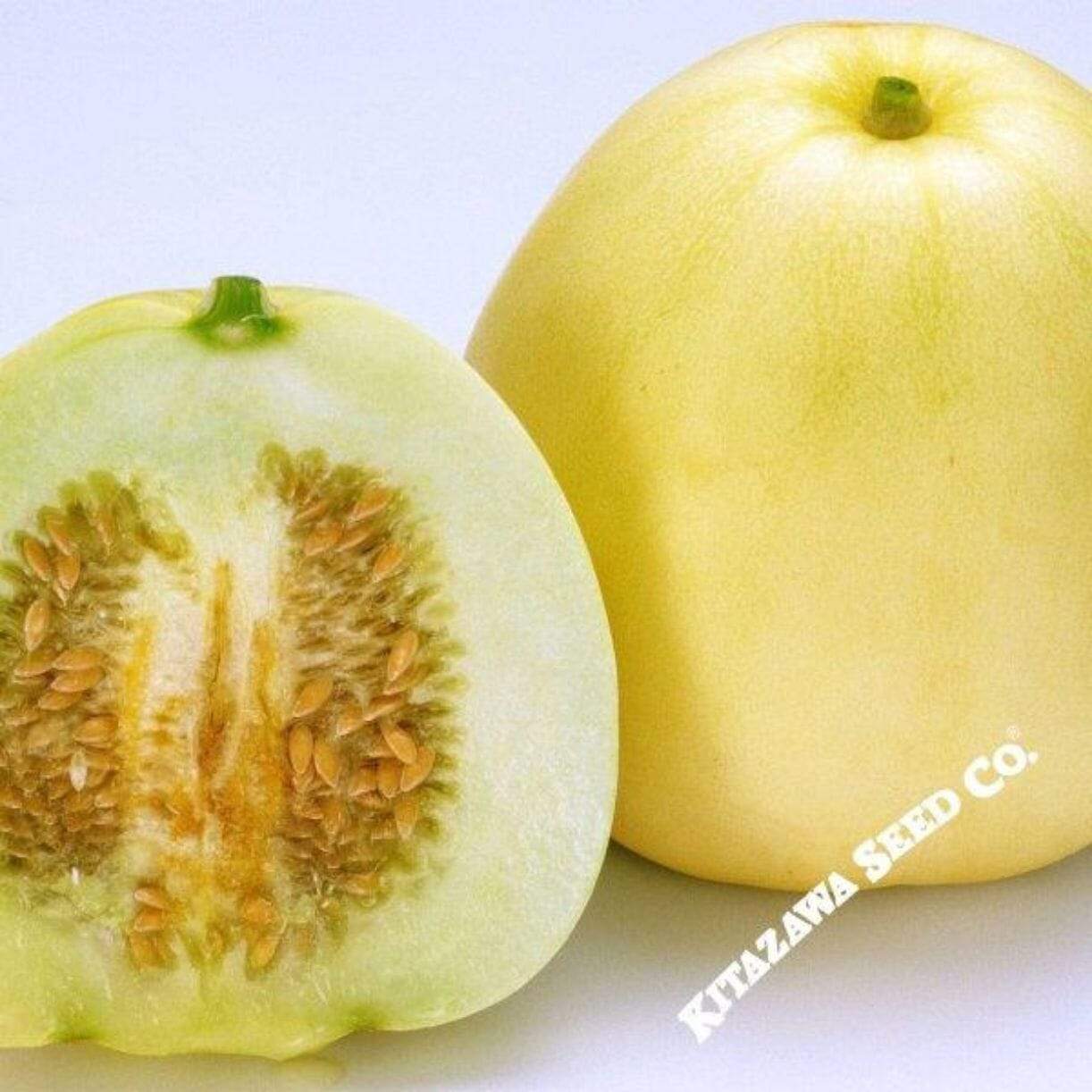 New Melon
