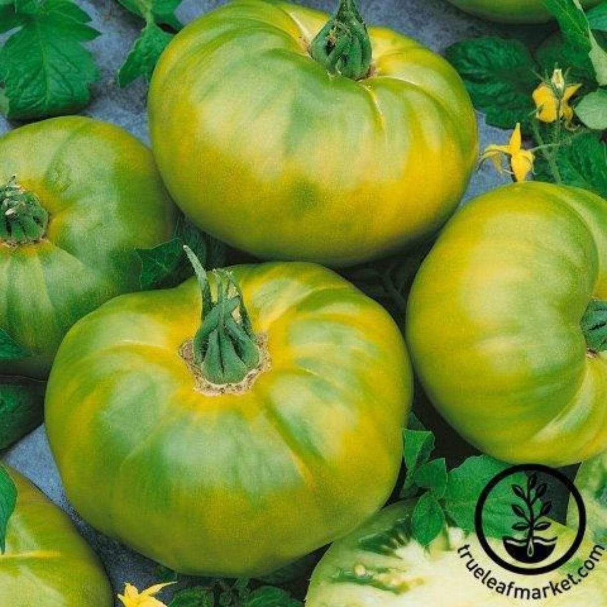 Chef's Choice Green Tomato