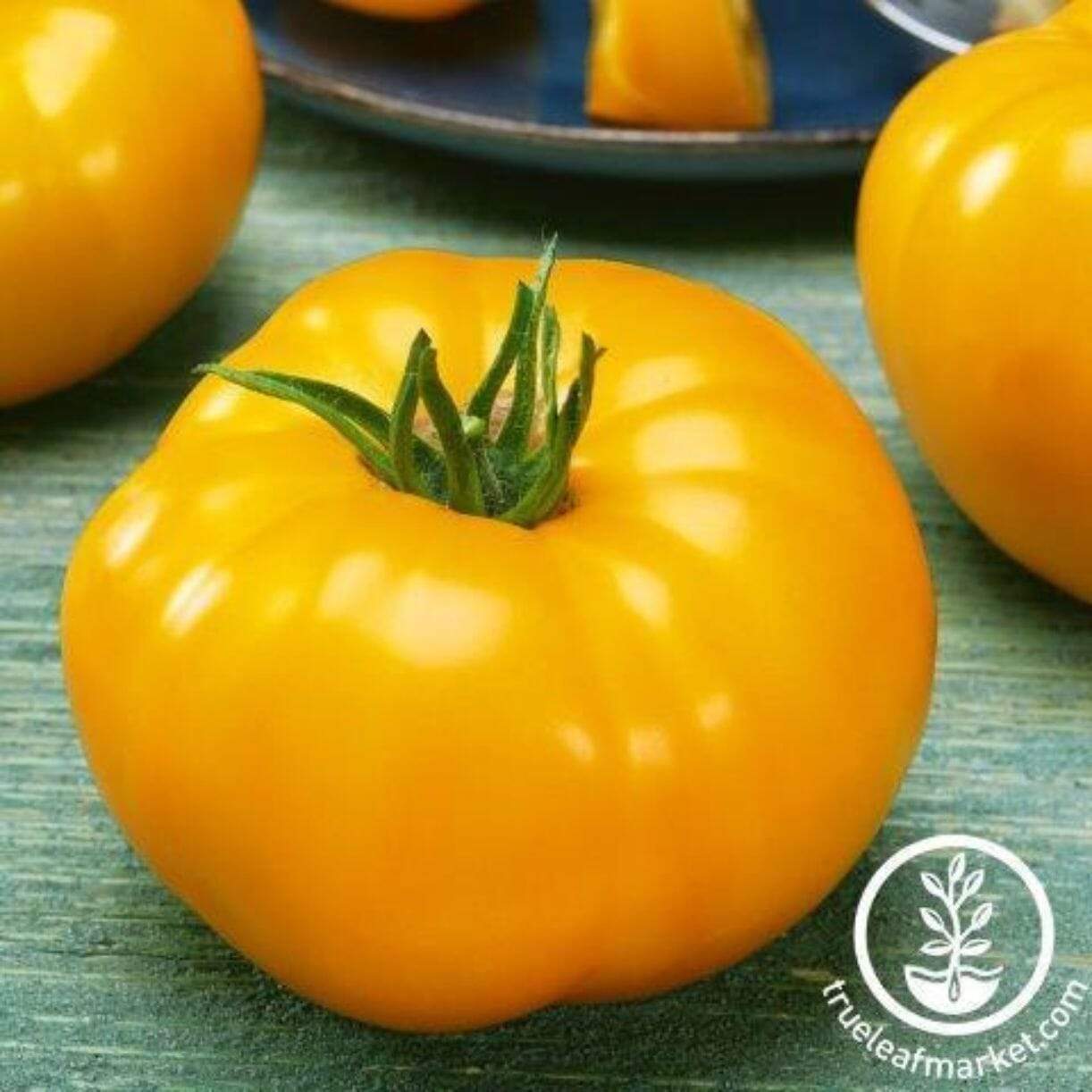 Sparks Tomato