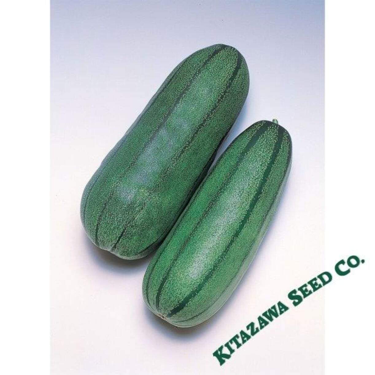 Green Striped Melon