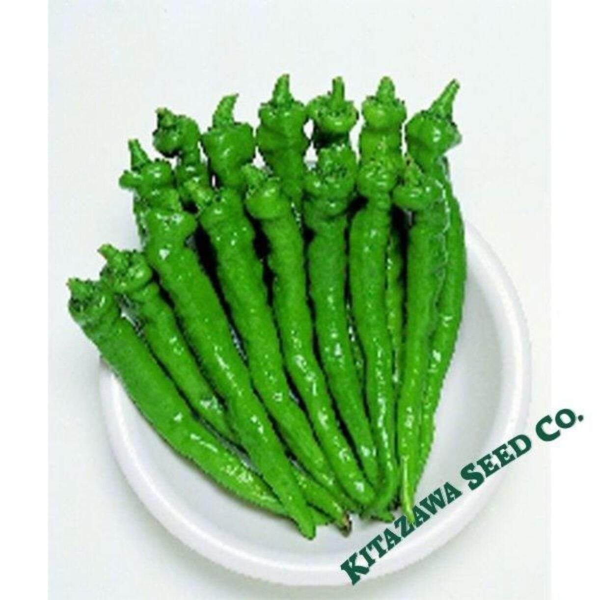 Fushimi Pepper