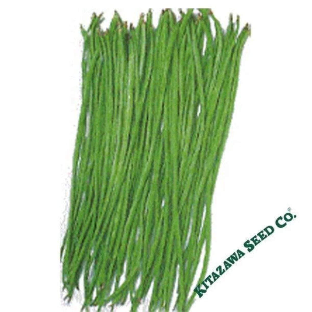 Akasanjaku Yard Long Bean