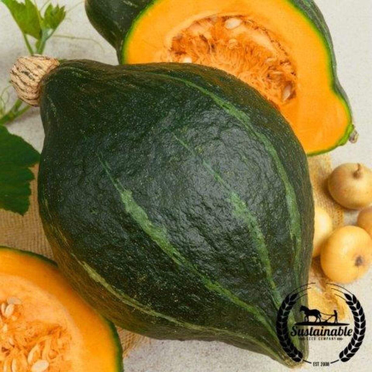Hubbard Baby Green Squash