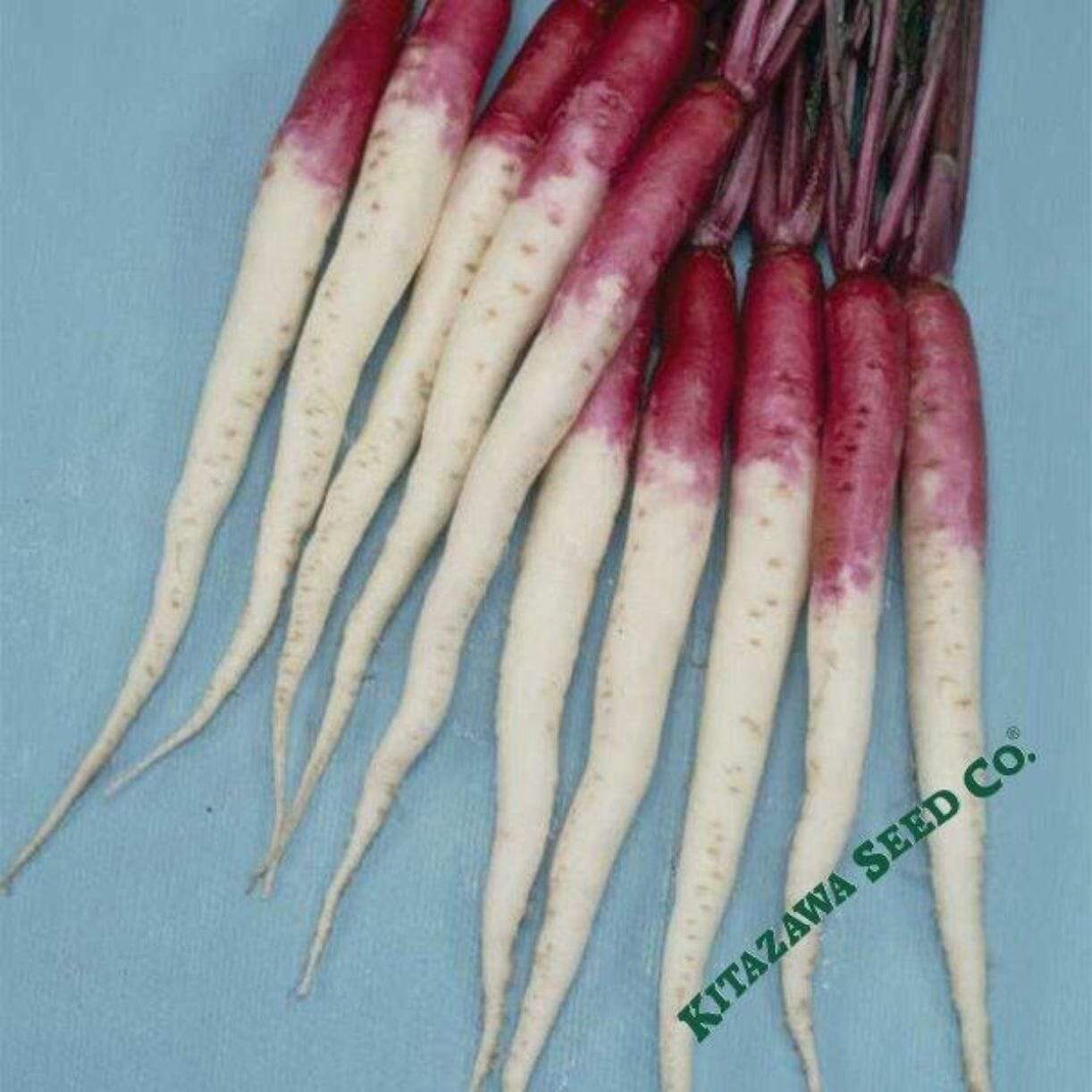 Hinona Kabu Turnip