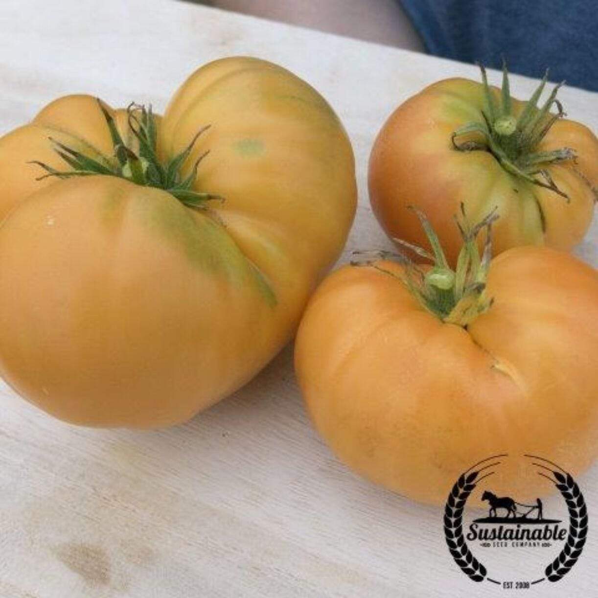 Amana Orange Tomato