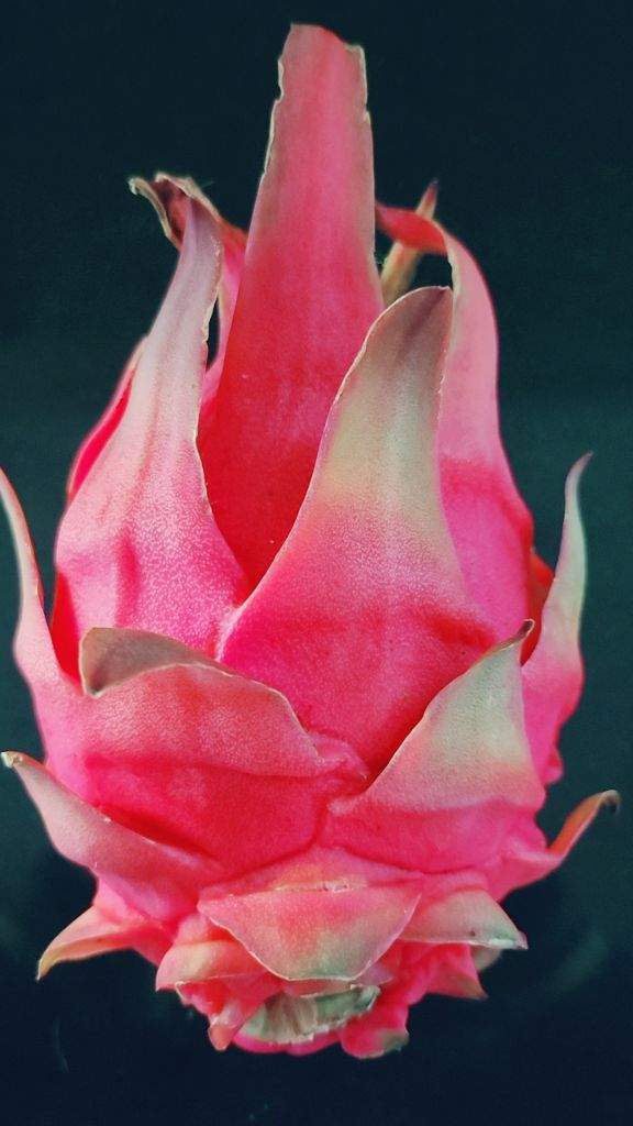 Es1 Dragon Fruit (1)