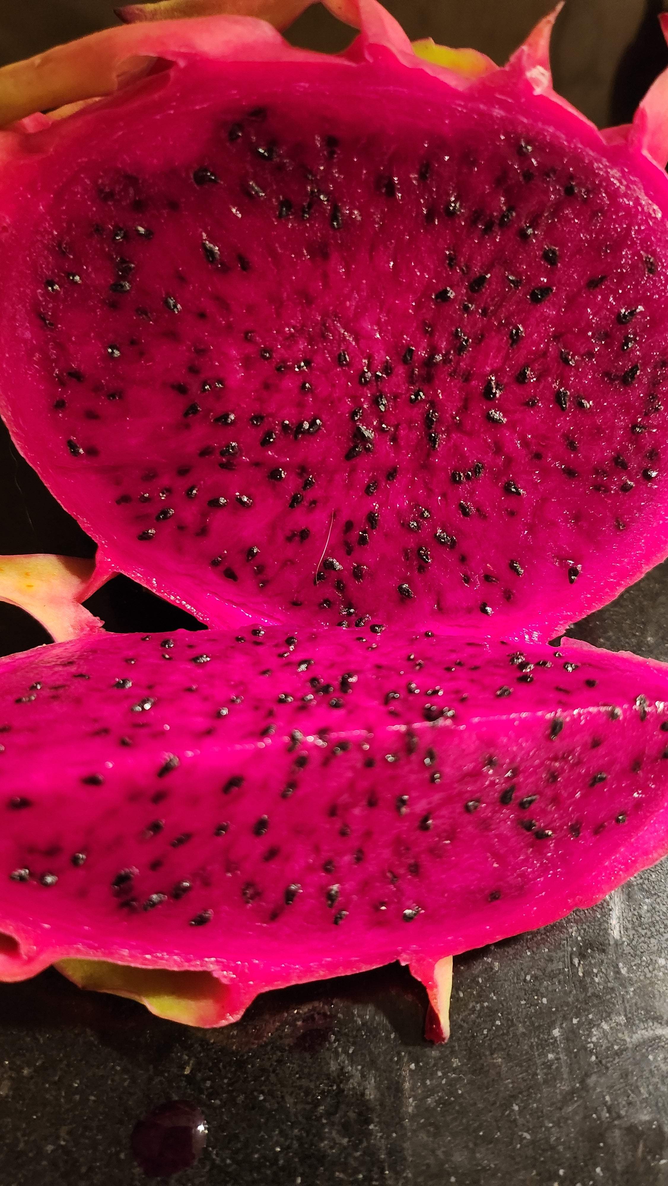 Es1 Dragon Fruit (14)