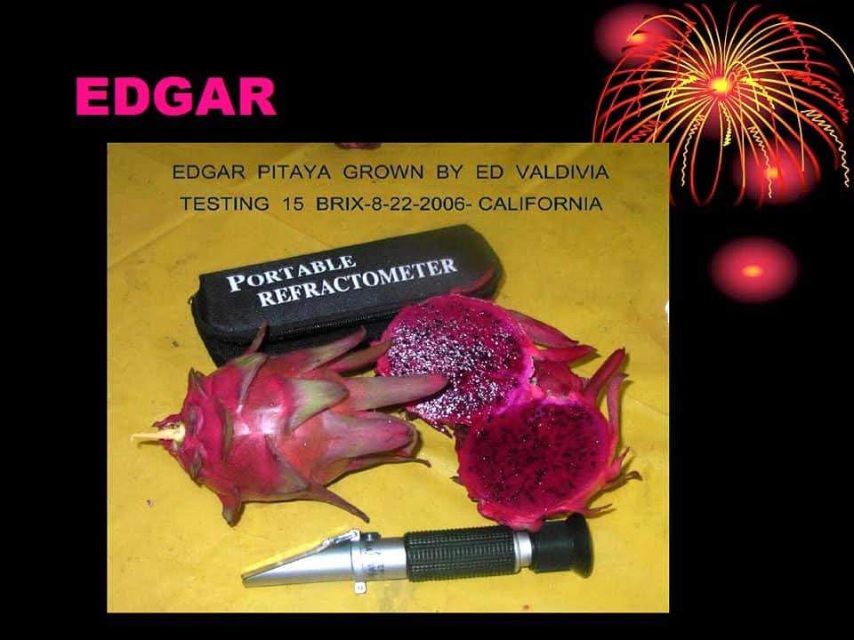 Es1 Dragon Fruit (12)