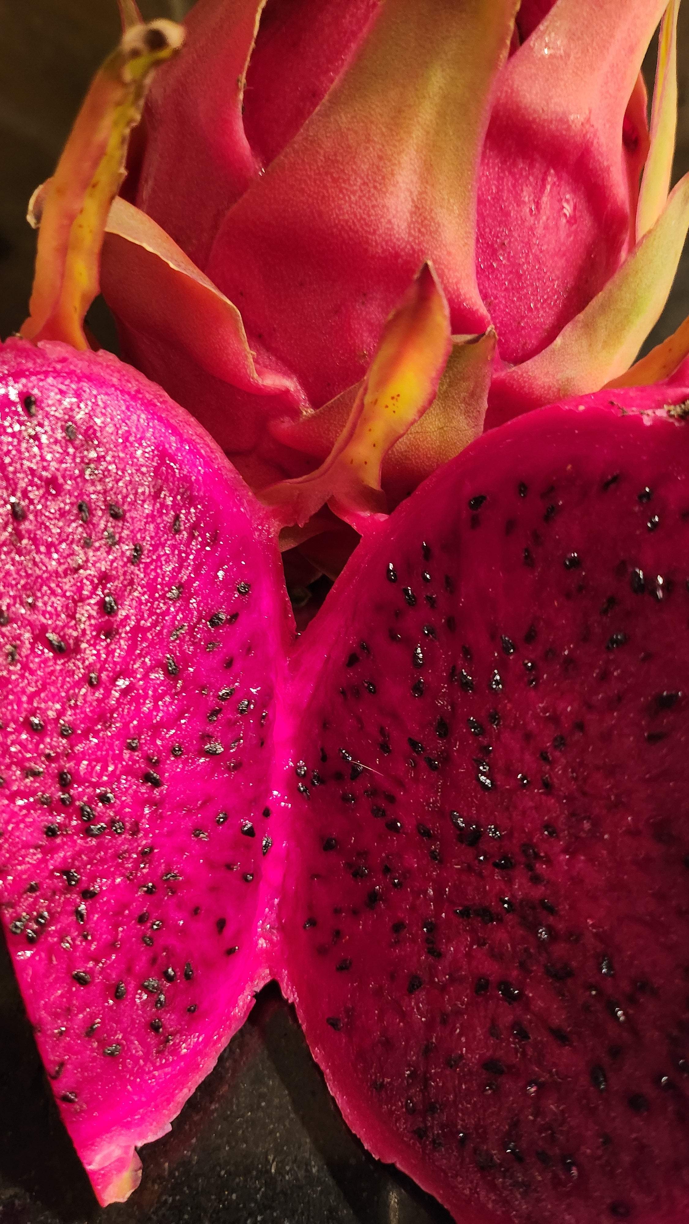 Es1 Dragon Fruit (13)