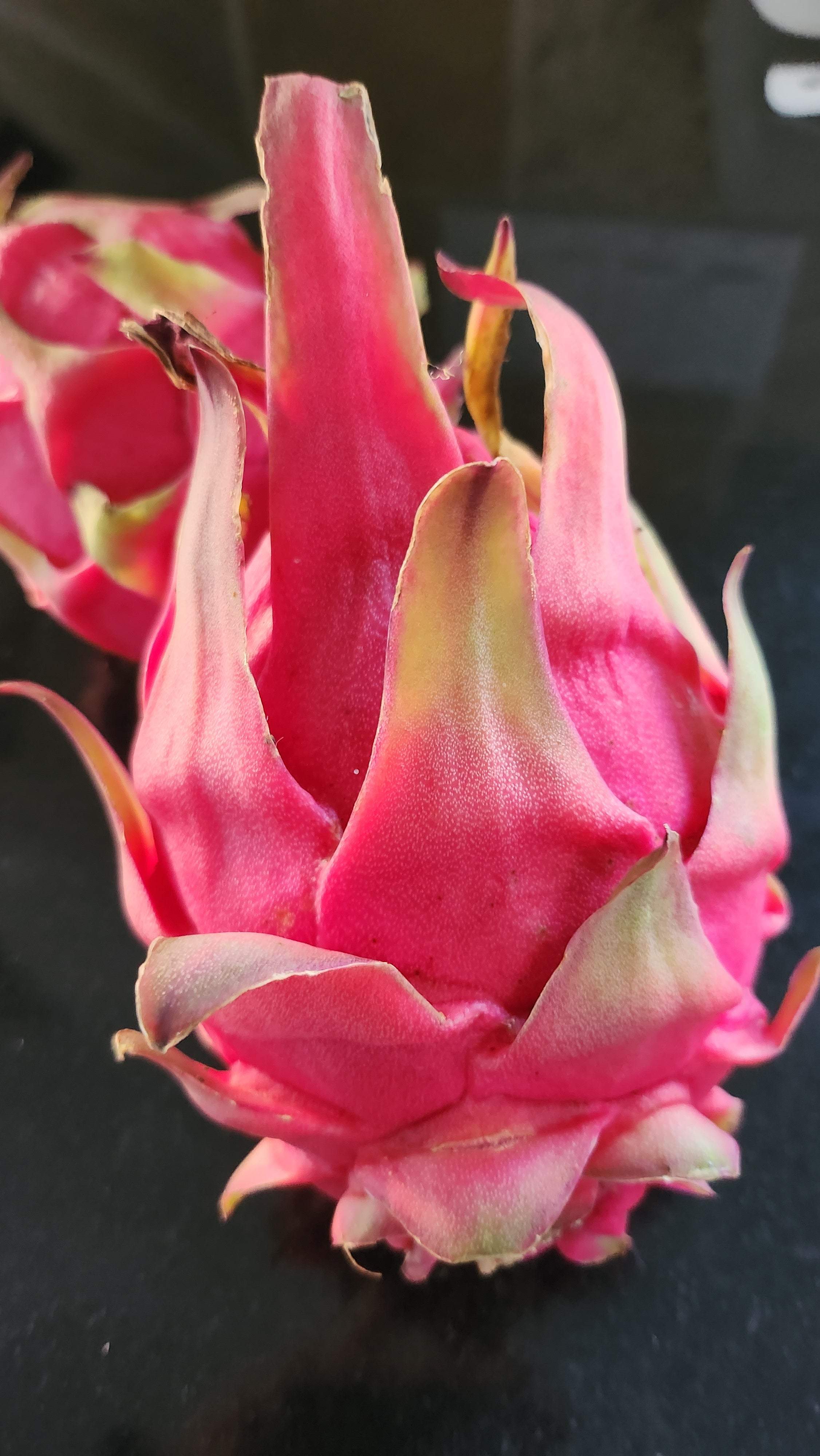 Es1 Dragon Fruit (6)