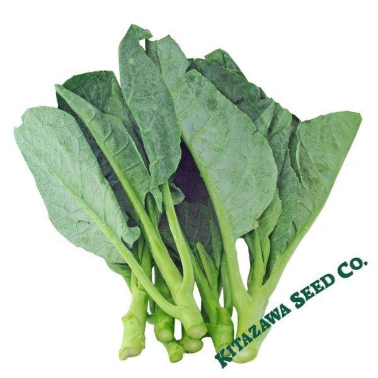 Wan Shen Chinese Broccoli