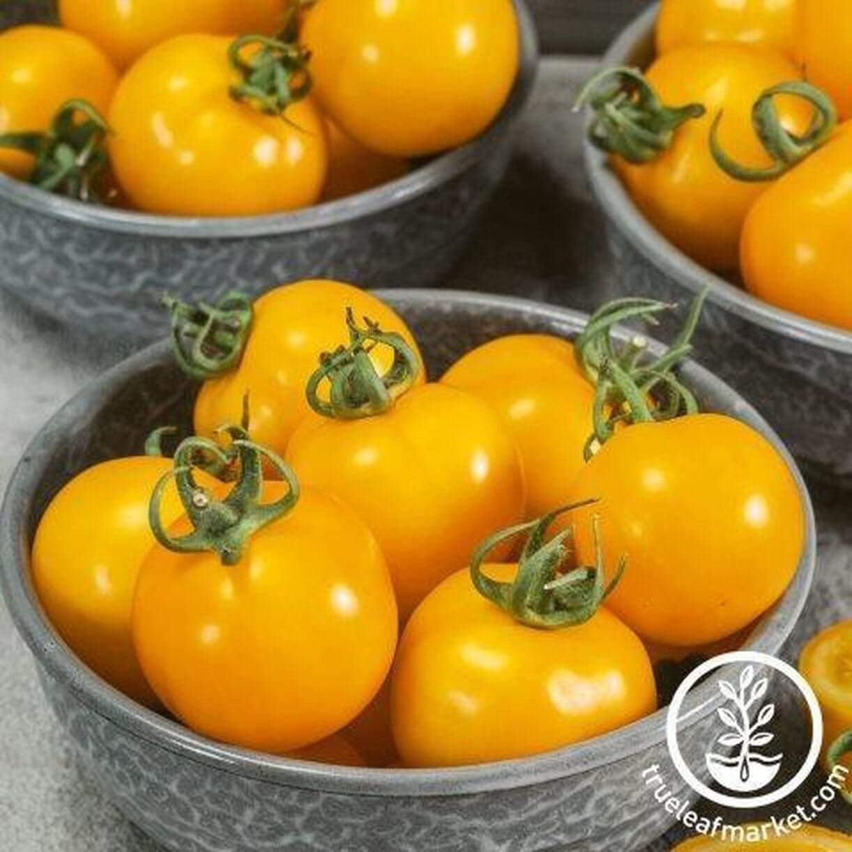 Egg Yolk Tomato