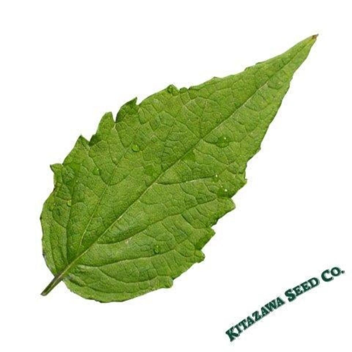 Korean Mint