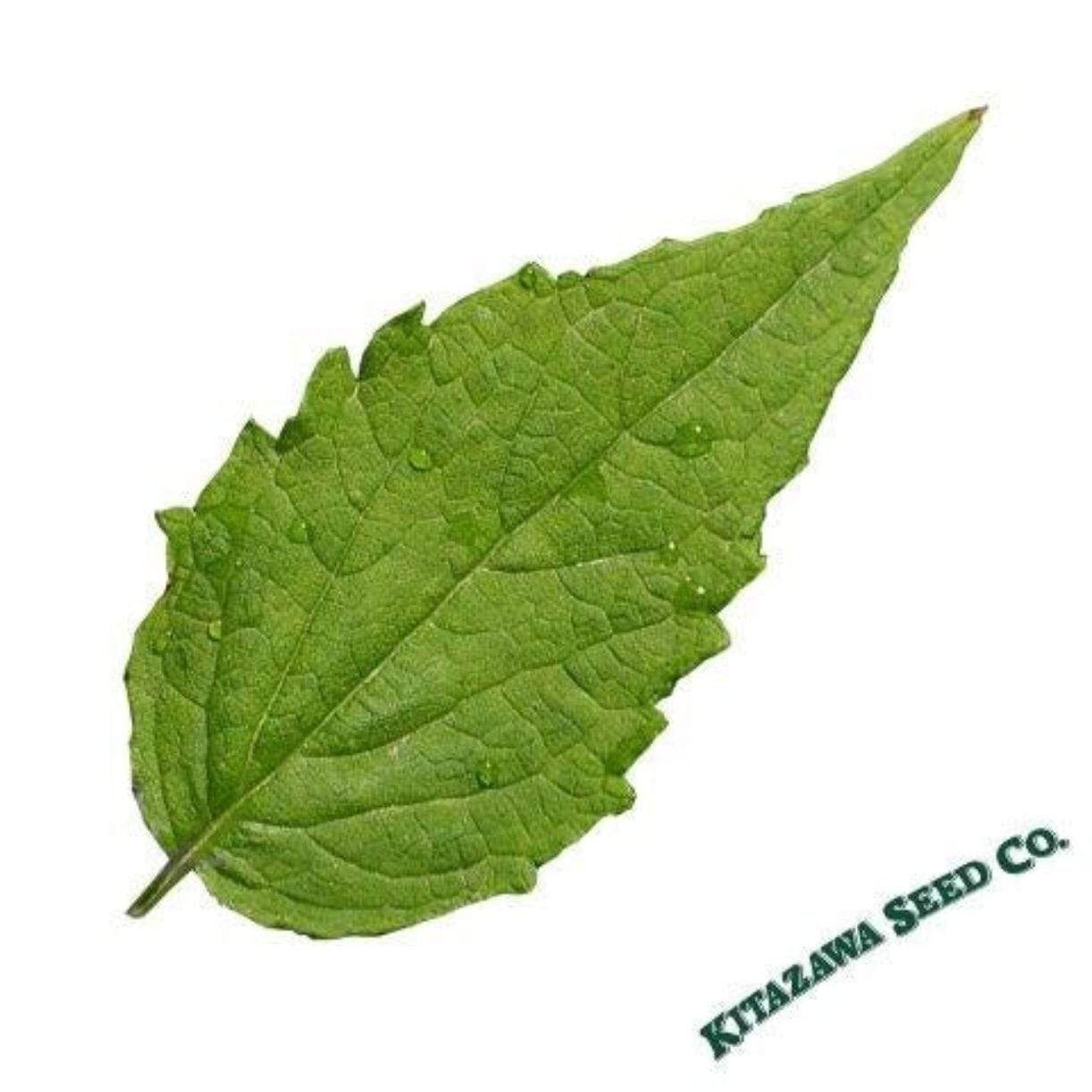 Korean Mint
