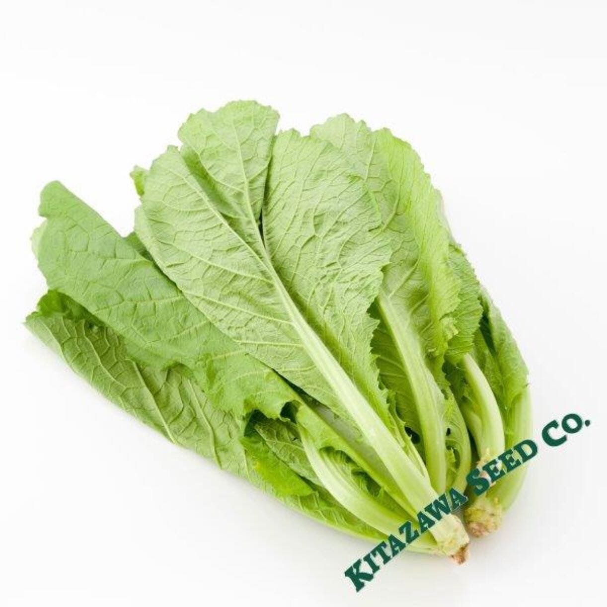 Nozawana Turnip