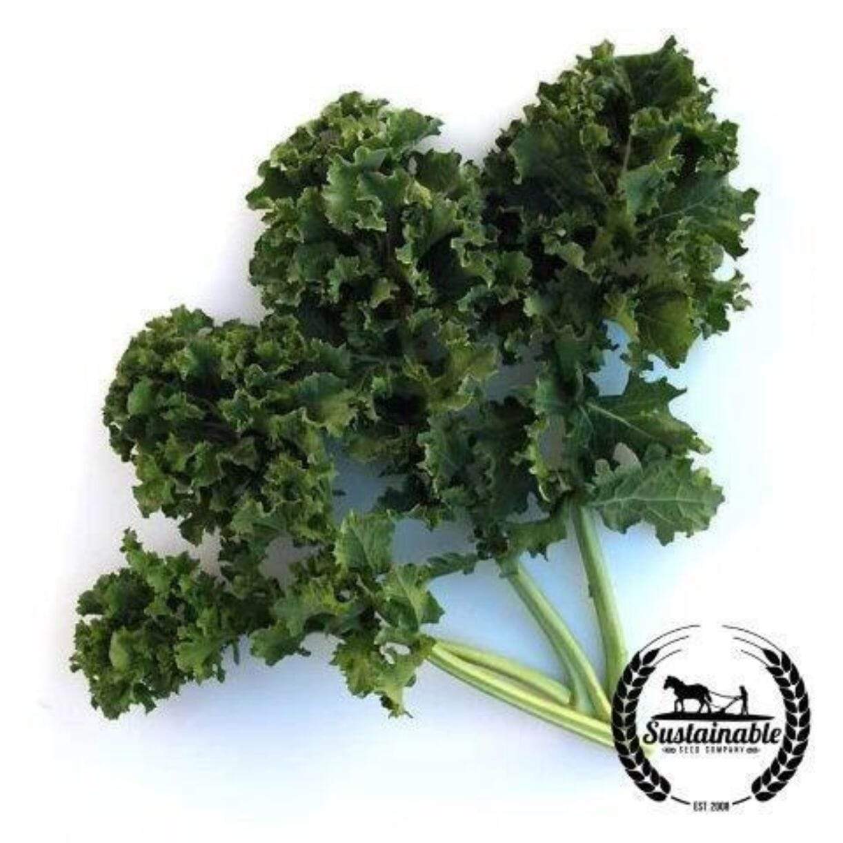 Kale