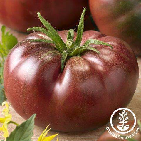 Chef's Choice Black Tomato