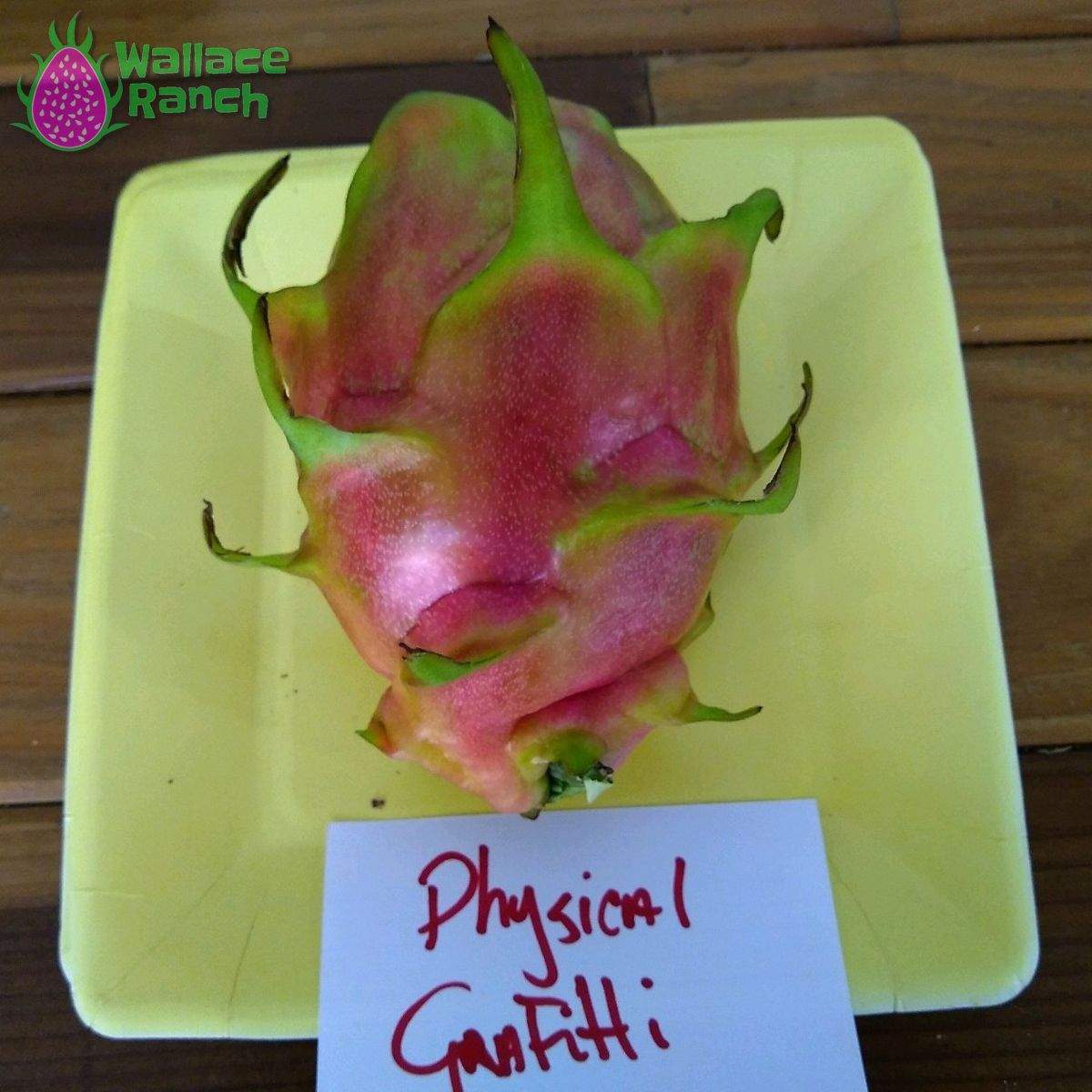 Physical Graffiti 1-s Dragonfruit (2)