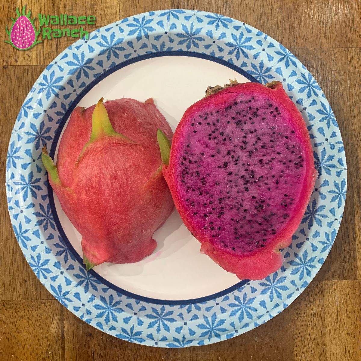 Physical Graffiti 1-s Dragonfruit (1)