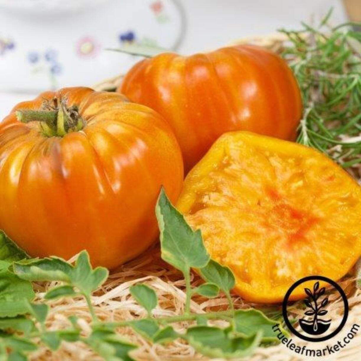 Striped German Tomato