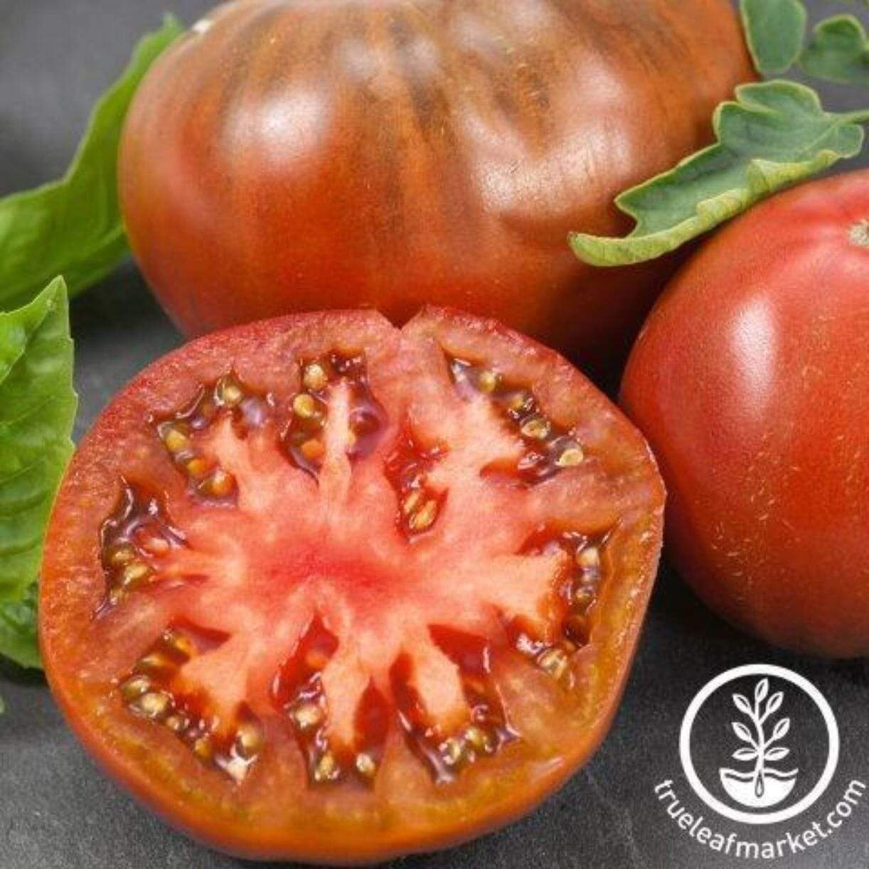 Chef's Choice Purple Tomato