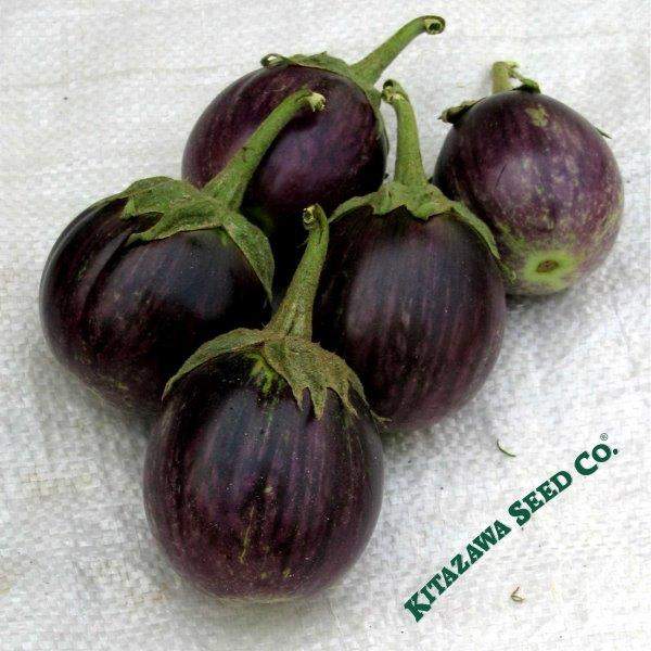 Purple Thai Round Eggplant