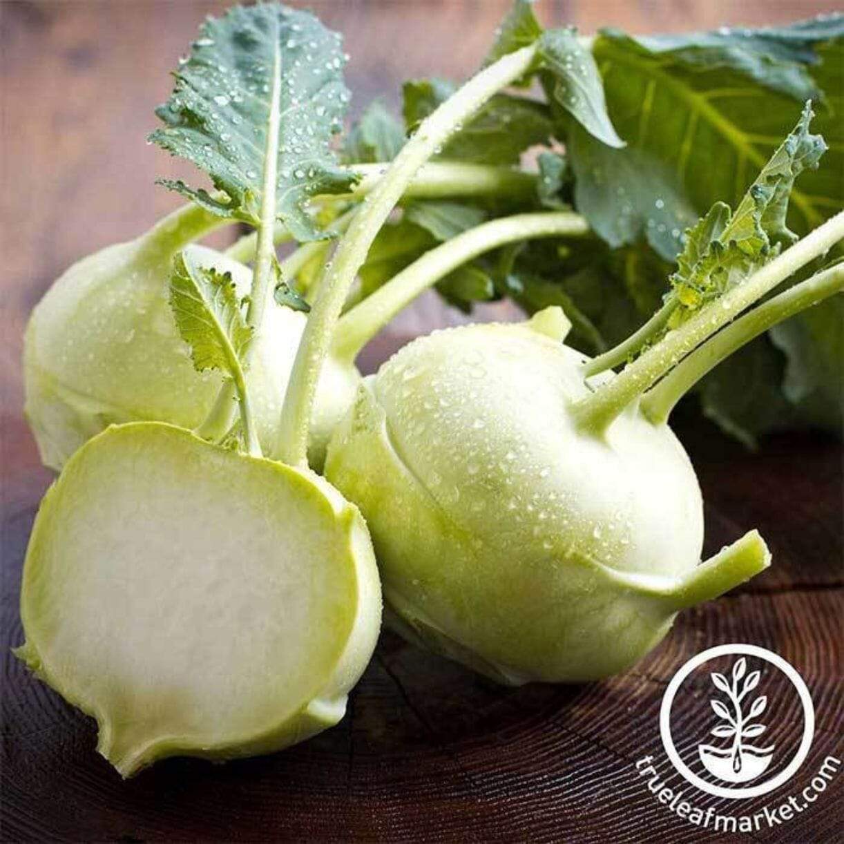 Early White Vienna Kohlrabi