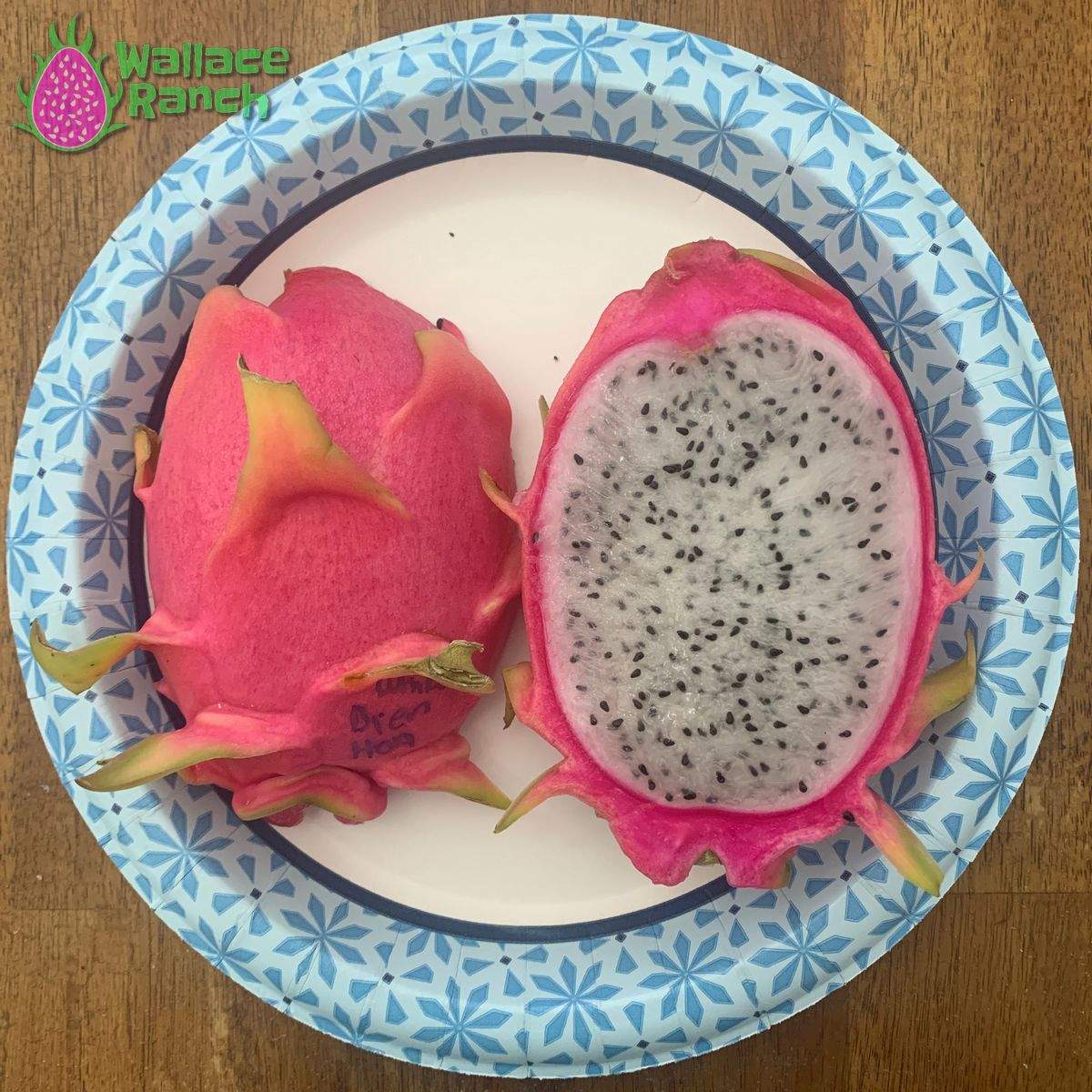 Bien Hoa White Dragonfruit (3)