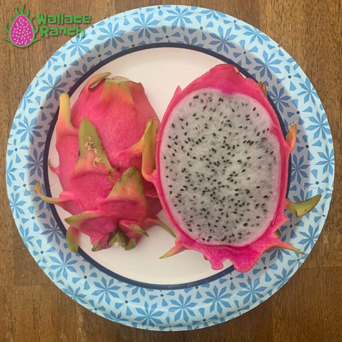 Bien Hoa White Dragonfruit (1)