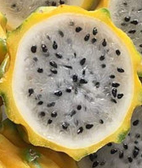 Palora Yellow Skin Dragonfruit (2)