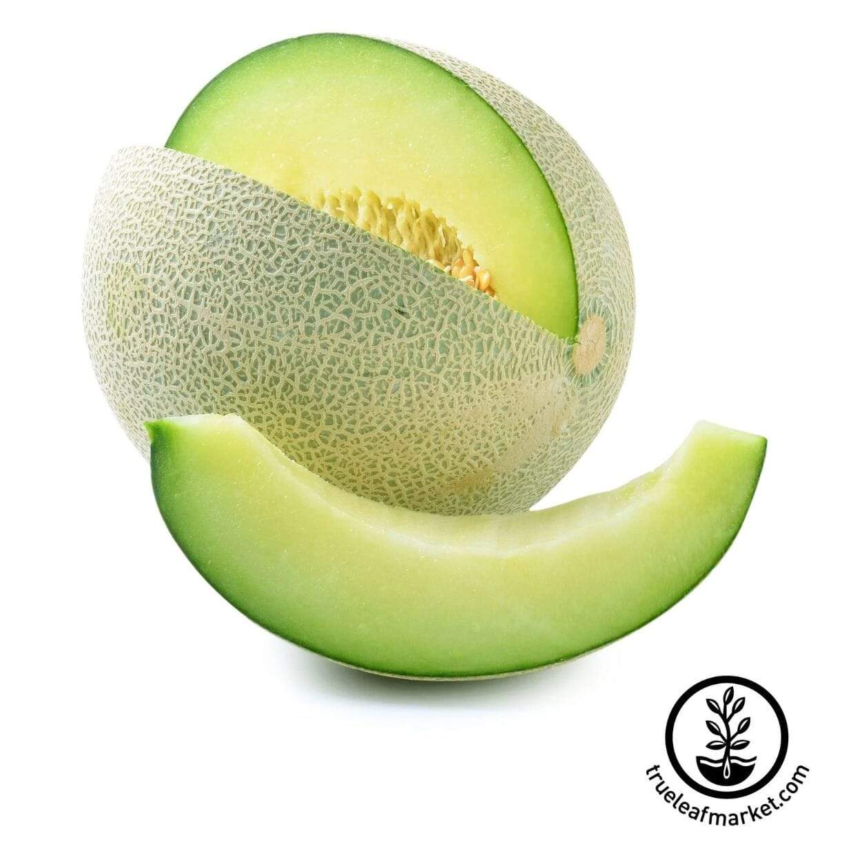 Rocky Ford Green Flesh Melon