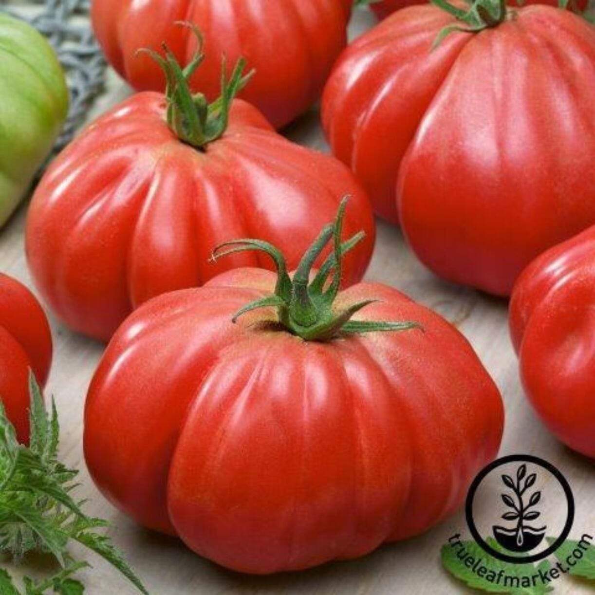 Stuffer Pink Tomato