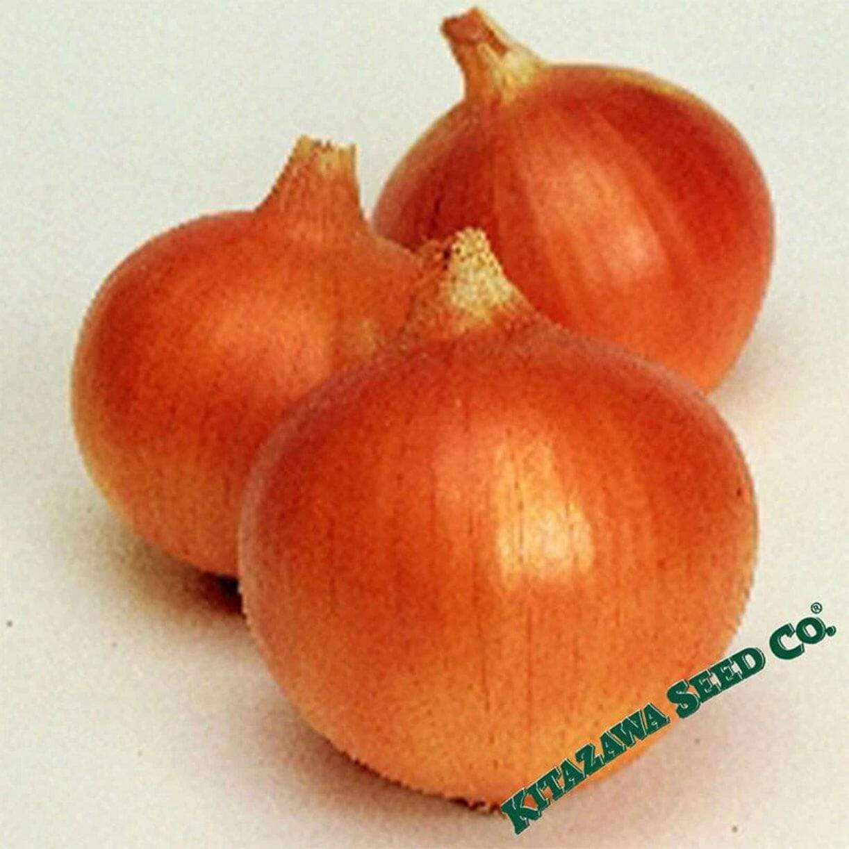 Superex Yellow Onion