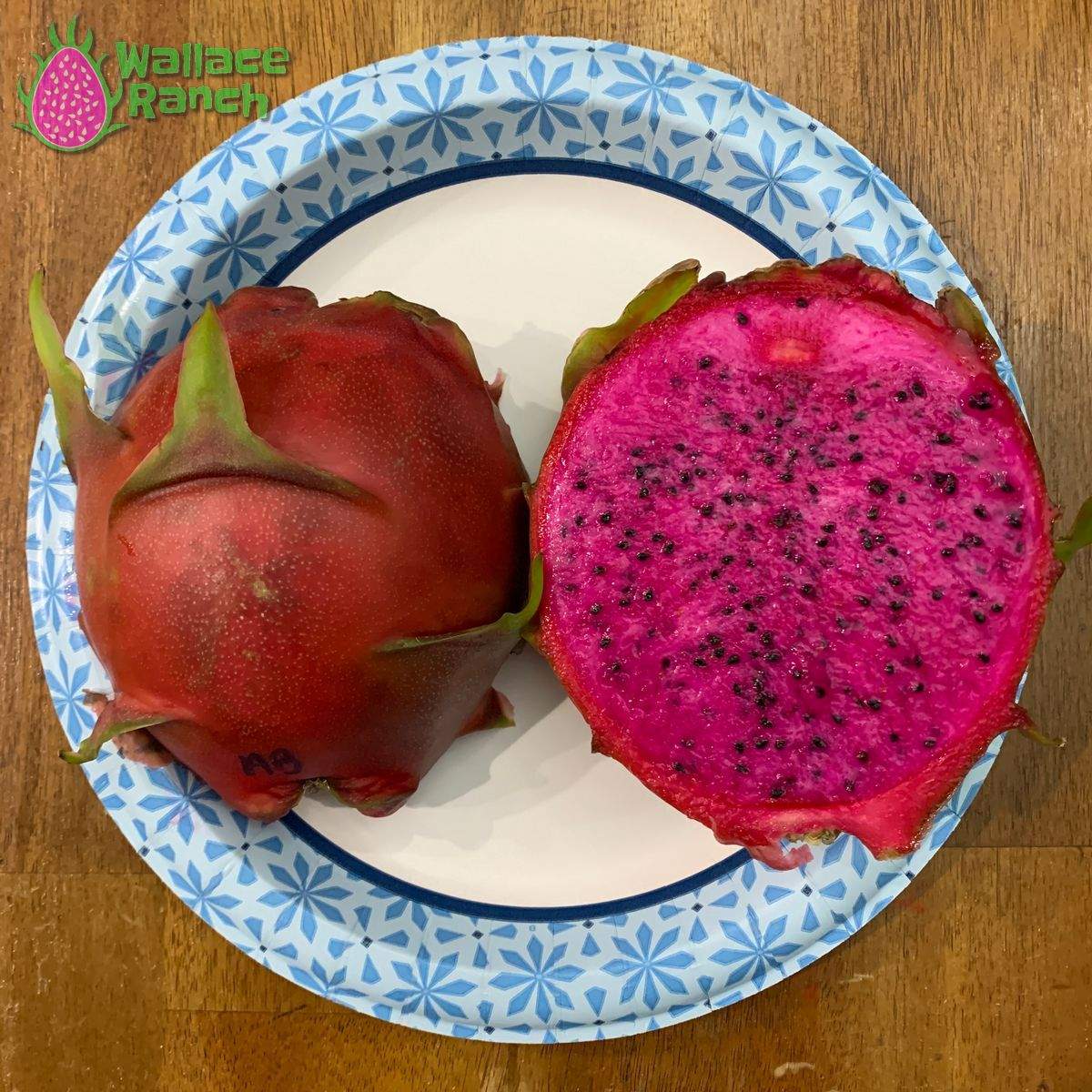 American Beauty Dragonfruit (1)