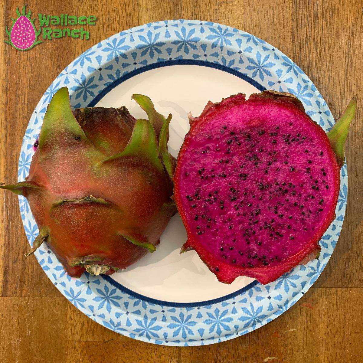 American Beauty Dragonfruit (2)