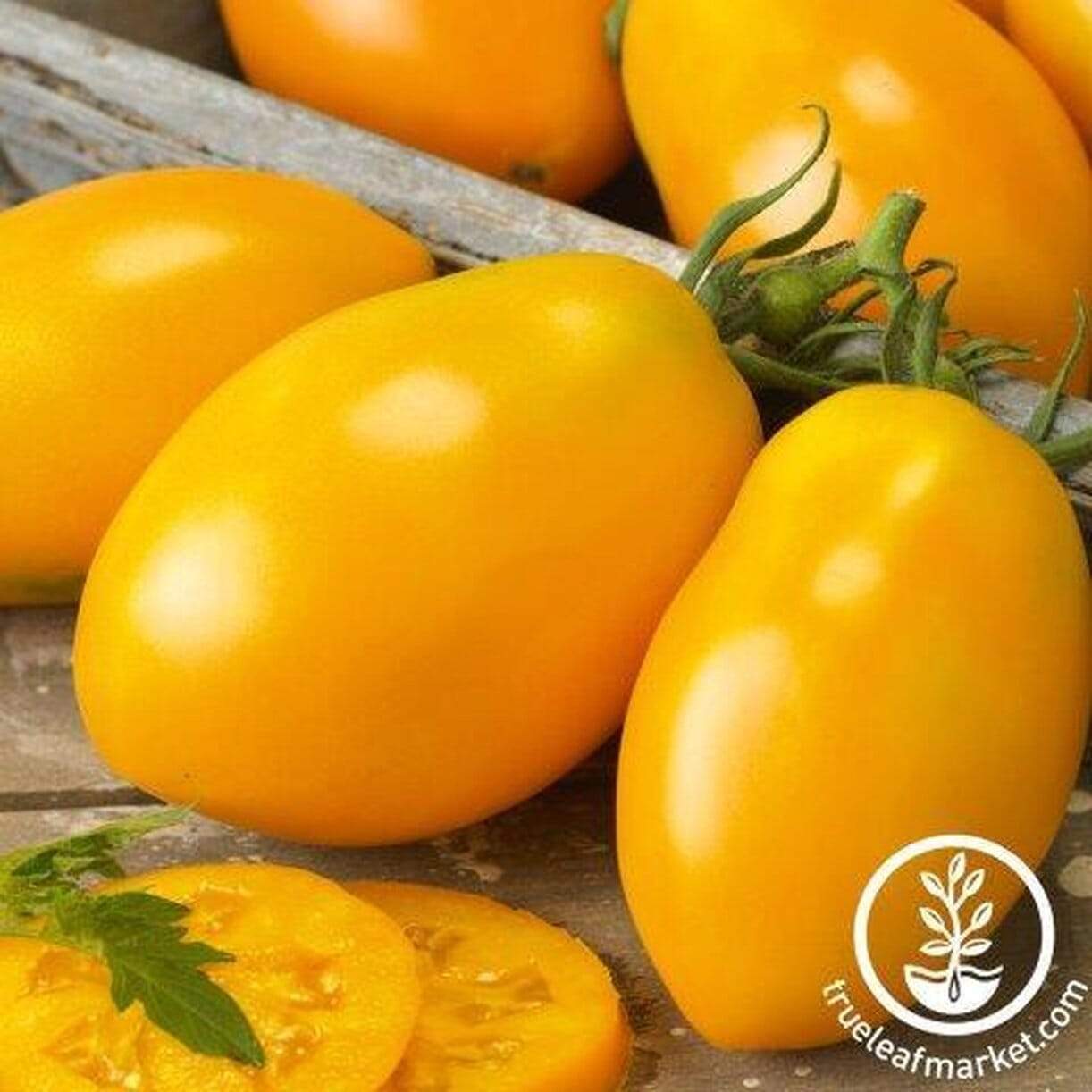 Golden Roma Tomato
