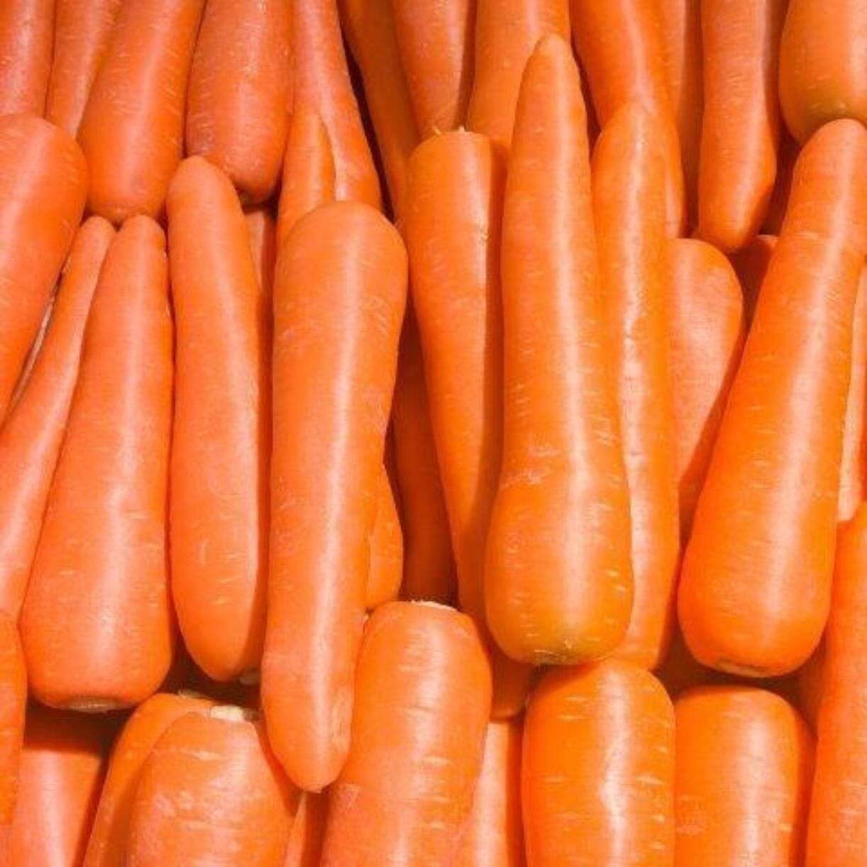 Brilliance Carrot