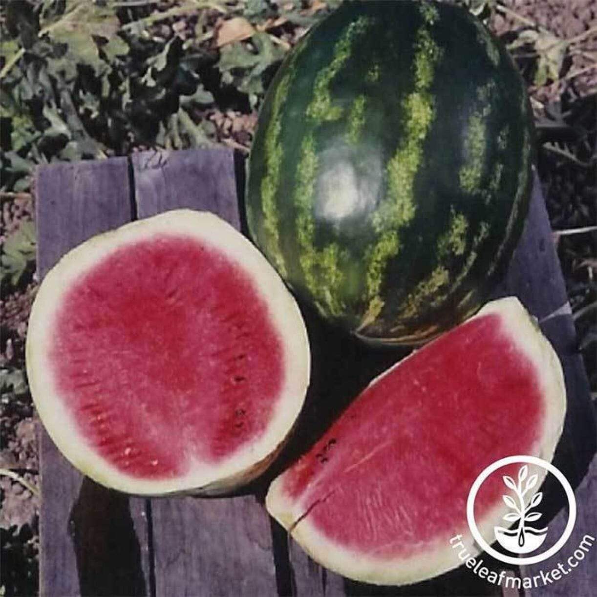 Cal Sweet Watermelon