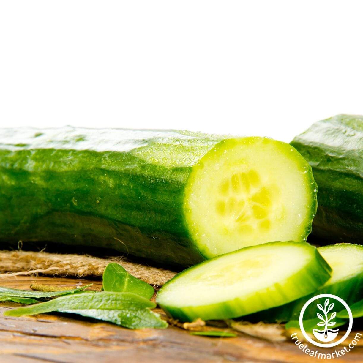 Sweet Success Cucumber