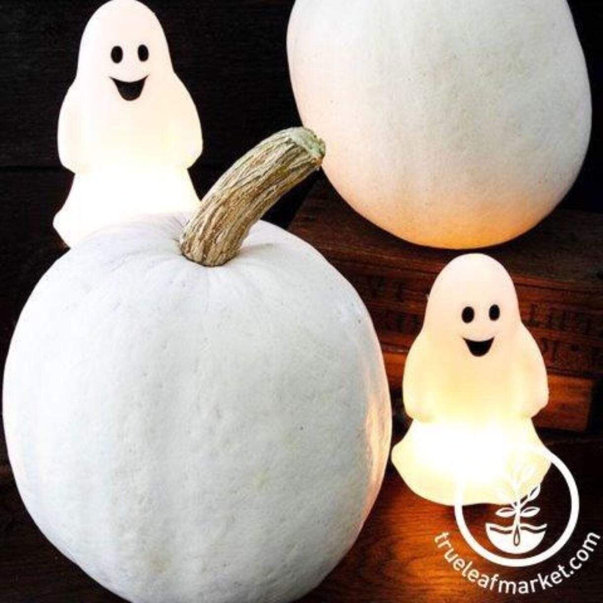 Casper Pumpkin