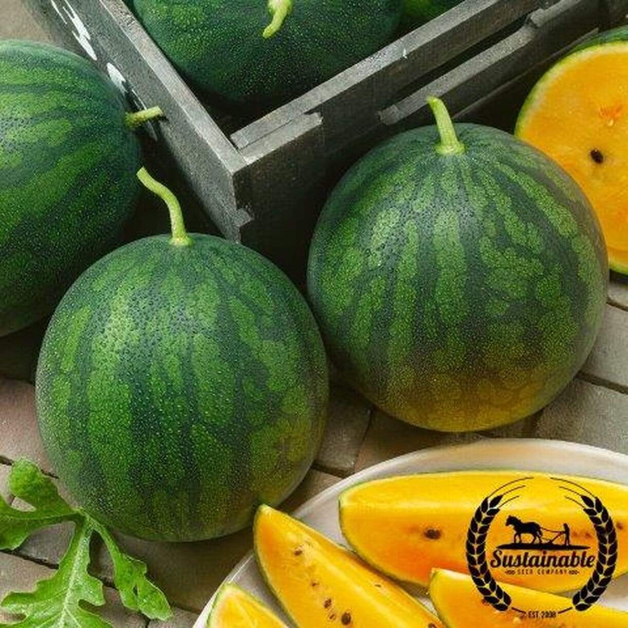 Crimson Sweet Yellow Watermelon