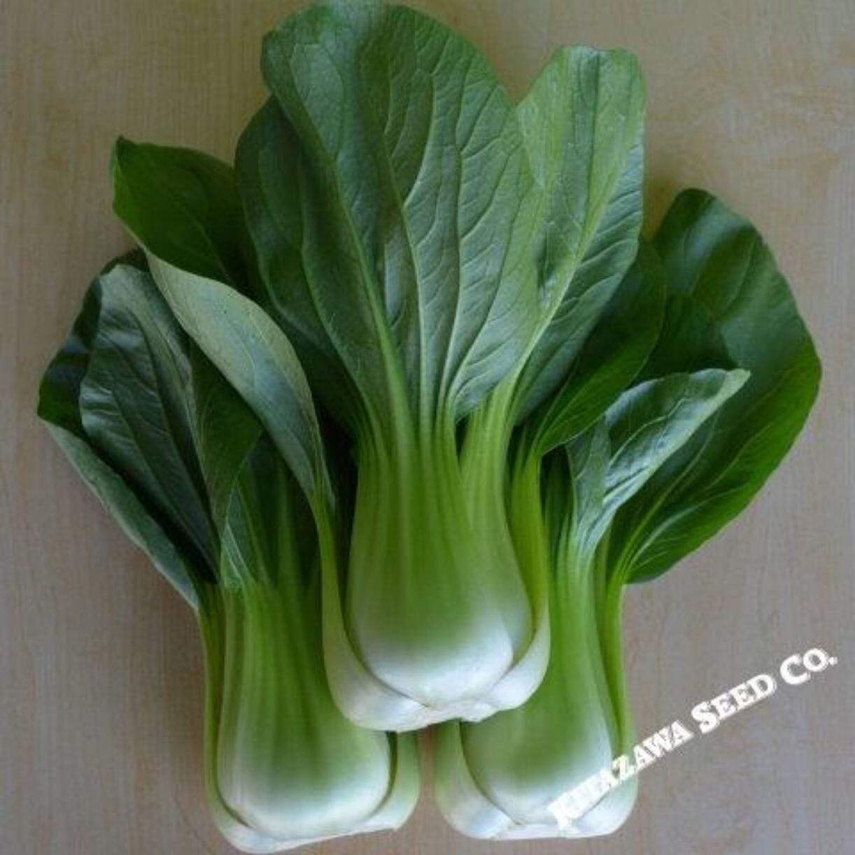 Chun Mei Cabbage
