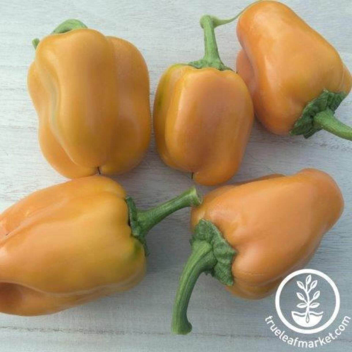 Riesling Pepper