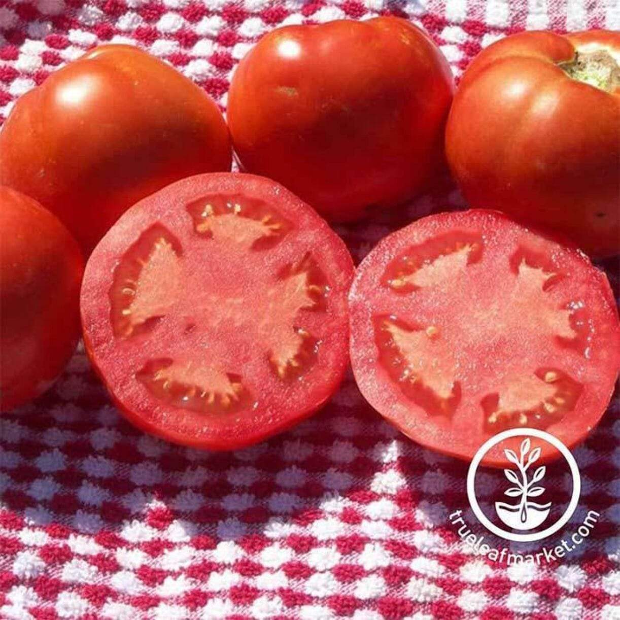 Beefsteak Indeterminate Tomato
