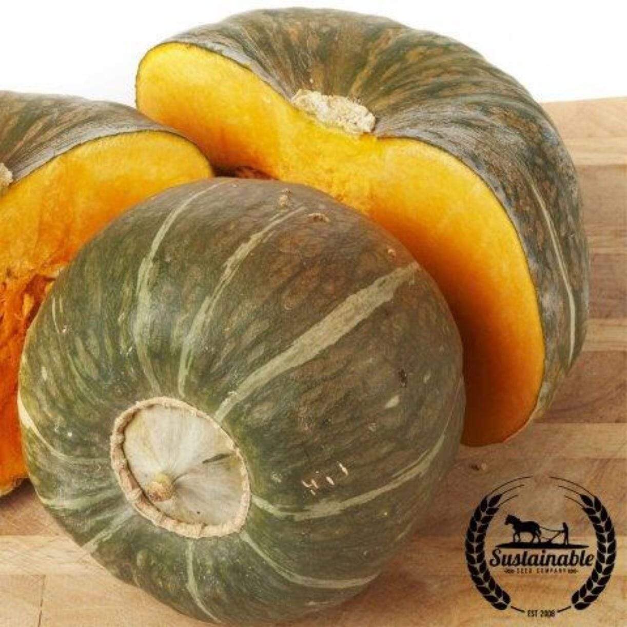 Burgess Buttercup Bush Squash
