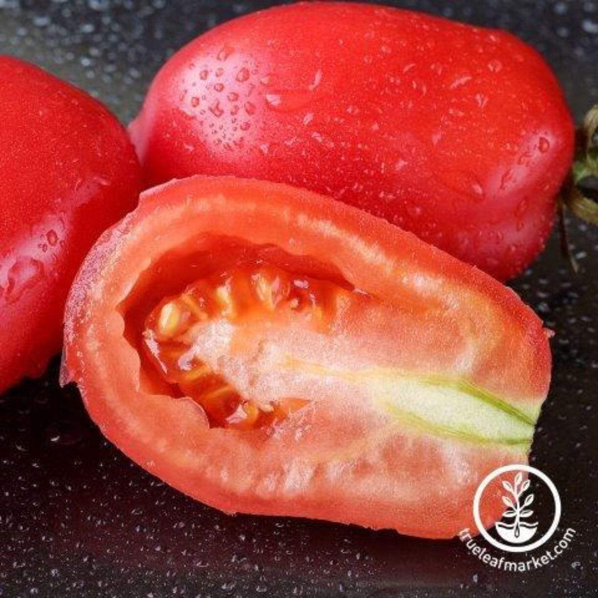 Rio Fuego Tomato