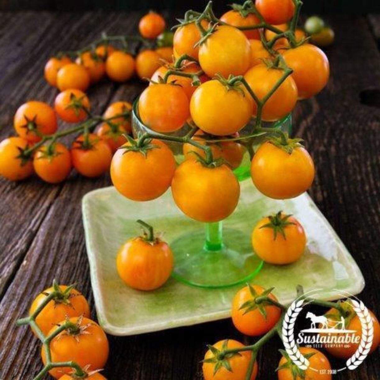 Isis Candy Tomato