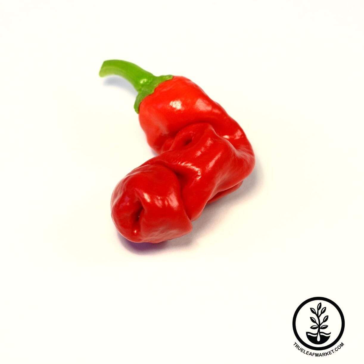 Peter Red Pepper